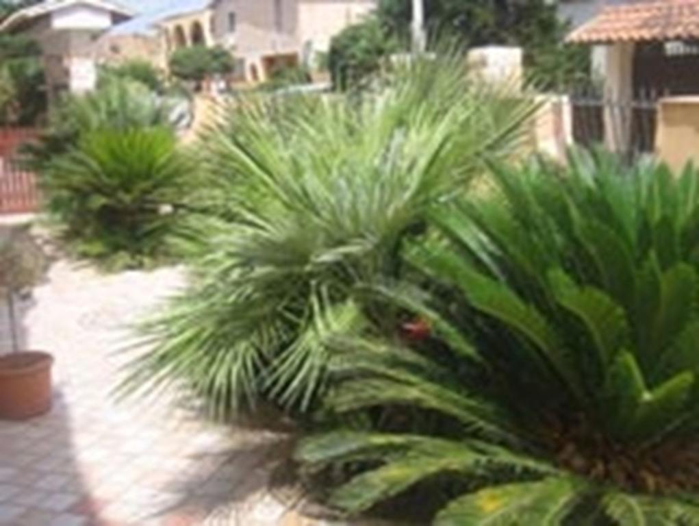 B&B Villa Olimpo Le Torri Agrigento Buitenkant foto